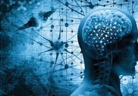 Improve your memory with these natural remedies