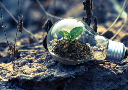 How green financial sector reform can help drive decarbonization